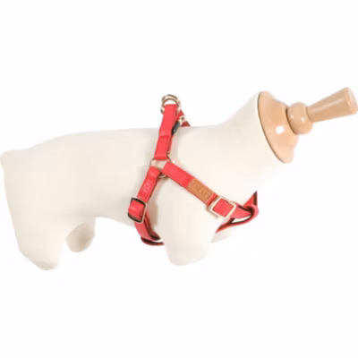 Harnais IMAO MAYFAIR 20 mm tour de poitrail de 55 à 80 cm couleur rouge pour chien.