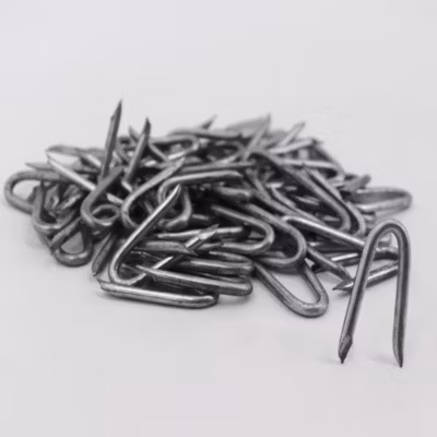 2 kg de crampons, boucles métalliques, clôture de protection Aquagart