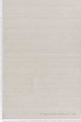 Papier peint vinyle sur intissé Uni L.10.05 x l.0.53 m.  – Réf. MC-OP33383
