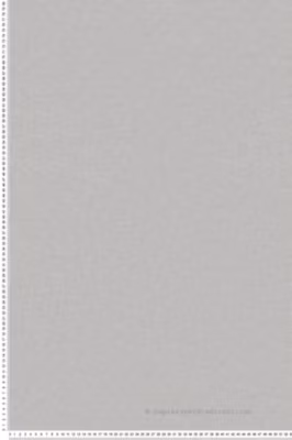 Papier peint vinyle sur intissé Uni L.10.05 x l.0.53 m.  – Réf. SP14713