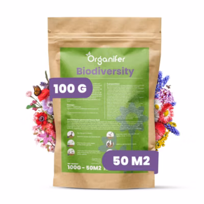 Mélange de fleurs sauvages – Biodiversité – 62 espèces – 100 g pour 50 m2 – Organifer