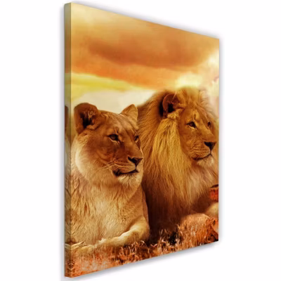 Tableau sur toile, Lions Animaux Afrique 70×100 cm