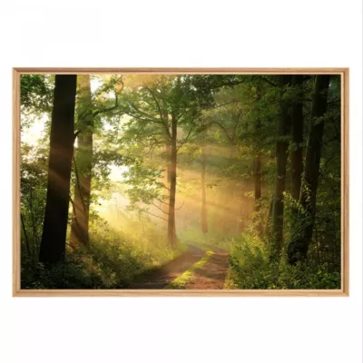Tableau mural mat encadré rayon de soleil 65×97 cm Fabriqué en France