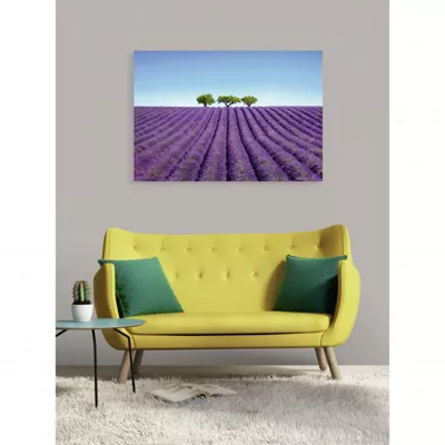 Tableau verre acrylique Couleur Lavande 130 x 90 cm – Décoration murale photo pour la maison