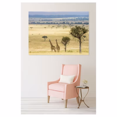 Tableau toile en kit DOUCE SAVANE 180 x 130 cm – Toile textile sans PVC, Made in France par Scenolia