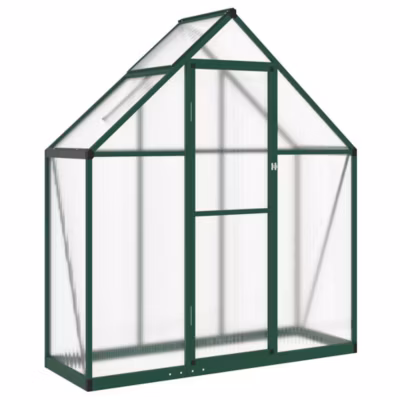 Serre avec cadre de base vert 169x58x195 cm aluminium vidaXL
