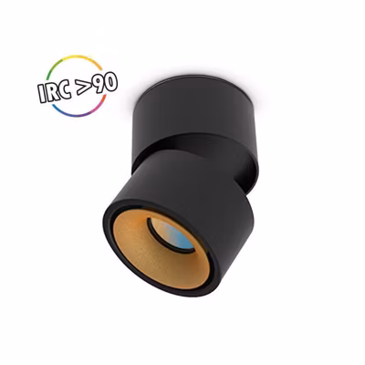Applique décorative LED – Noir/Doré – 12W – CCT 3 températures – Orientable