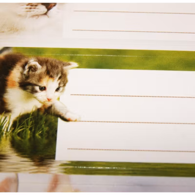 12 étiquettes adhésives scolaires – Rectangle – Photos Chatons