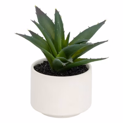 Plante grasse en pot H13- Blanc- Atmosphera