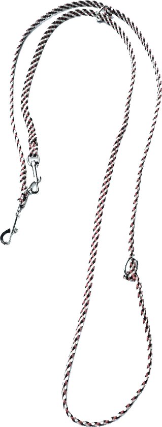 Conception de qualité Abany – luxe – laisse pour chien – laisse de police – laisse 3 positions – chiot – laisse – laisse d&rsquo;entraînement – 2,50 mètres – 5R1907 – beige