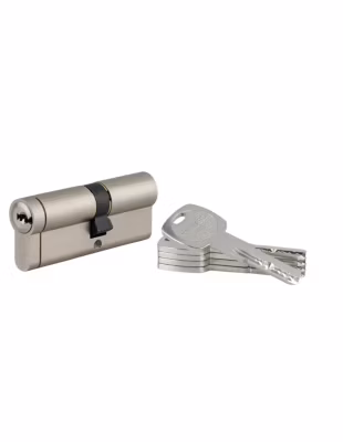 Cylindre de serrure débrayable Transit 1, 35x45mm, 5 clés, nickelé – THIRARD