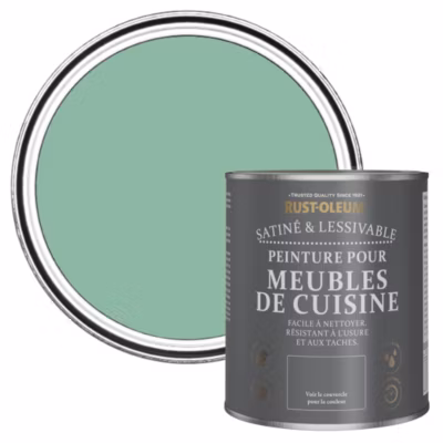 Peinture Verte pour Meubles de Cuisine, Satin – RUST-OLEUM – Wanderlust 750ml