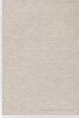 Papier peint vinyle sur intissé Contemporain L.10.05 x l.0.53 m.  – Réf. MC-NHW1010