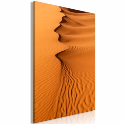 Tableau Sandy Shapes (1 Part) Vertical 40×60 cm
