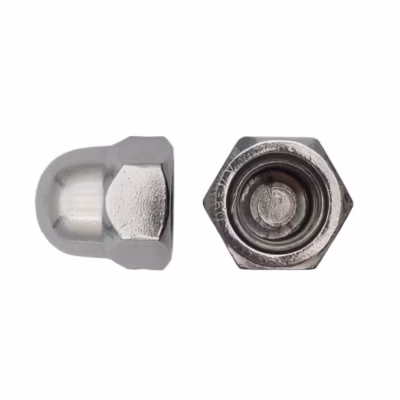 25 Ecrous Borgnes M18 mm – DIN 1587 – Inox A4 – D-Work