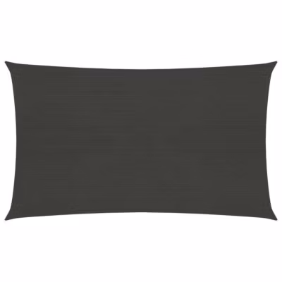 vidaXL Voile d&rsquo;ombrage 160 g/m2 Anthracite 3×6 m PEHD
