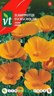 Eschscholtzia Orange – Ca. 1 gr