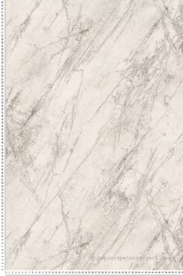 Papier peint vinyle sur intissé Contemporain L.10.05 x l.0.53 m.  – Réf. AS-388172