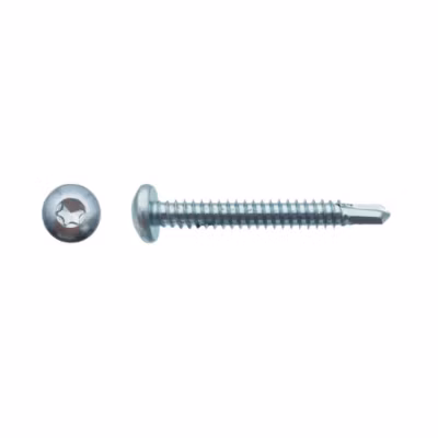 500 Vis Autoperceuses Tête Cylindrique Torx 4.2 x 19 mm – Zingué blanc – D-Work