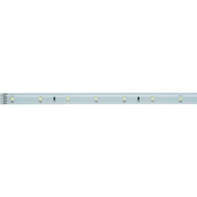 Paulmann YourLED 70209 – Ruban LED 12 V 97,5 cm avec connecteur mâle