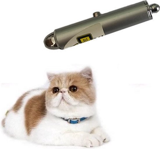 Chats Laser – Lampe pour le Chat – 2 en 1 – Laser + Lampe Wit – avec pendentif – Chats / Chiens Lampe Laser – Mini – Porte-clés