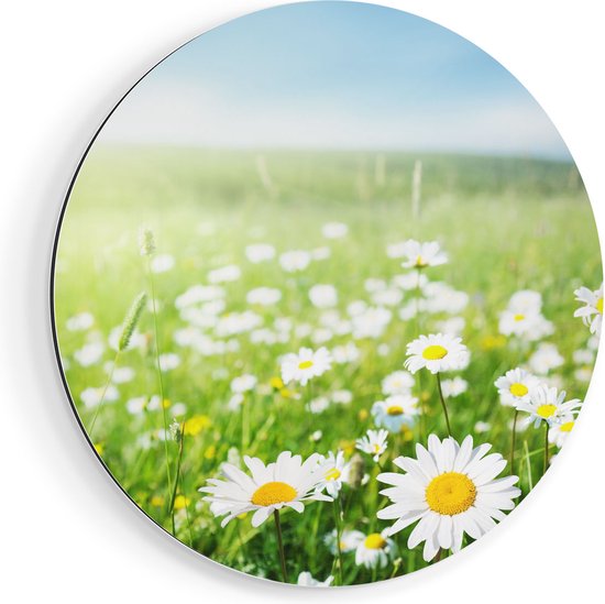 Coloray Tableau magnétique – Tableau magnétique Carte du monde positive – 60×40 cm – Noir Tableau magnétique – Tableau mémo Cuisine – Tableau mémo magnétique Carte – Tableau magnétique Photo – Tableau magnétique Mur