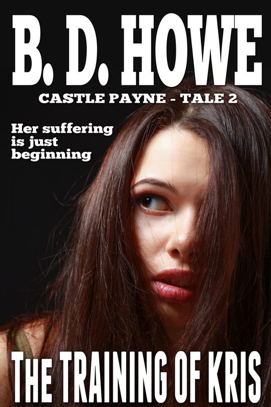 Castel Gavone: Storia del secolo XVEbook