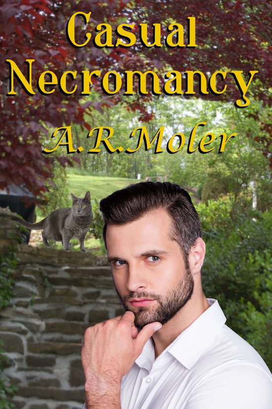 Casual NecromancyEbook