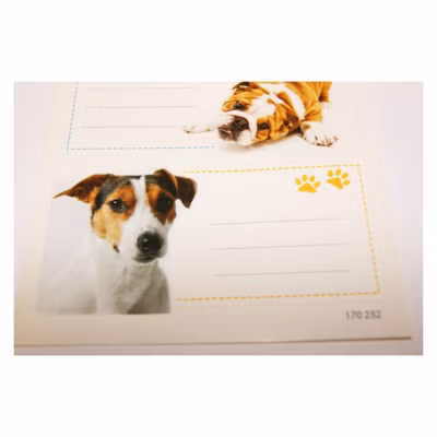 12 étiquettes adhésives scolaires – Rectangle – Chiens