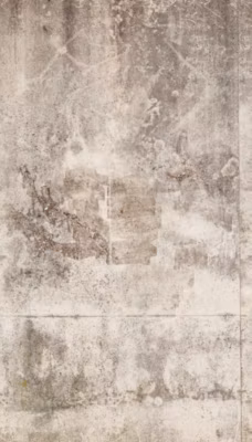 Papier peint vinyle sur intissé Trompe l&rsquo;oeil L.2.8 x l.1.59 m.  – Réf. AS-383391