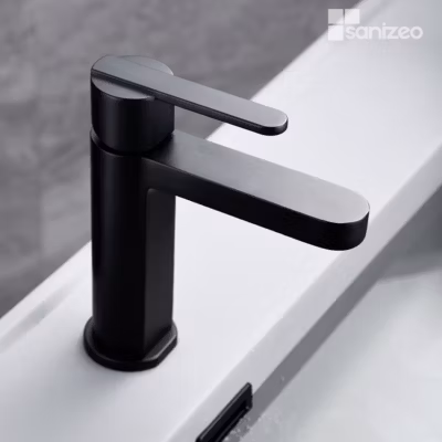Mitigeur de Lavabo Anti-Calcaire Bec Bas Noir Mat IMEX ROMA BDR001-1NG