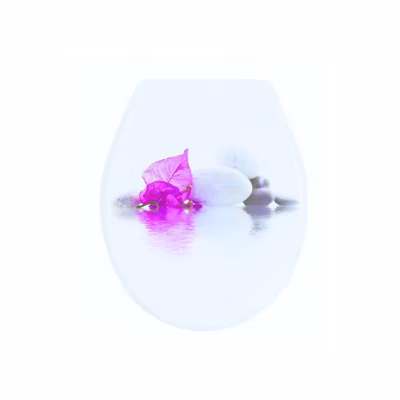 Abattant wc BORNEO Blanc  Rose  Charnières PS MSV
