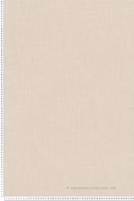 Papier peint vinyle sur intissé Uni L.10.05 x l.0.53 m.  – Réf. SP14688