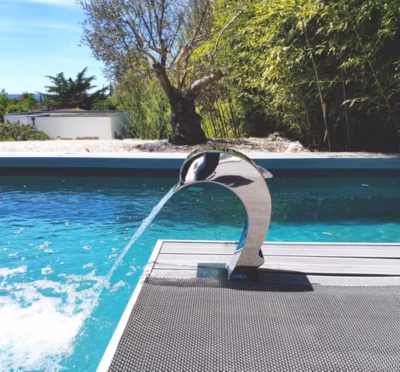 Cascade pour Piscine ou Spa Inox Fontaine Bassin Modèle Dauphin Avec Oeuil et Aileron Hauteur 41cm Larg 16,8cm Zenlys
