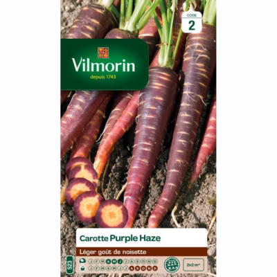 Sachet graines Carotte Violette Purple Haze