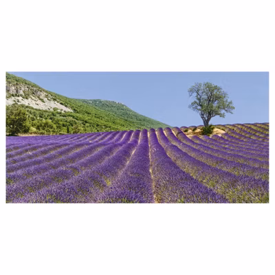 Brise vue imprimé POET SIGILLAT, H.1.5 x L.3 m, 100% occultant, Made in France par Scenolia + kit de fixation offert