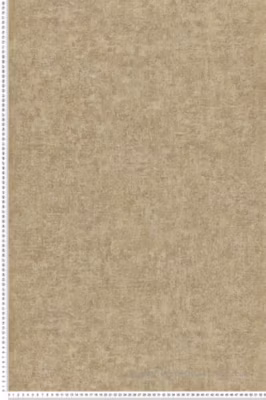 Papier peint vinyle sur intissé Uni L.10.05 x l.0.53 m.  – Réf. MC-BZ1007