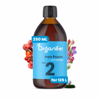 Engrais Liquide pour Phase de Floraison – Iron Power – 250 ml de concentré pour 125 l – Organifer