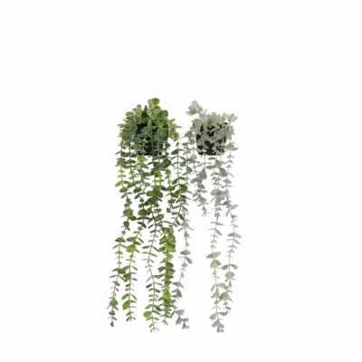 Plante succulente retombante artificielle 50cm lot de 2