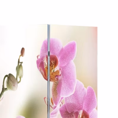 Paravent, Séparateur, Cloison de séparation pliable 217×170 cm Fleur