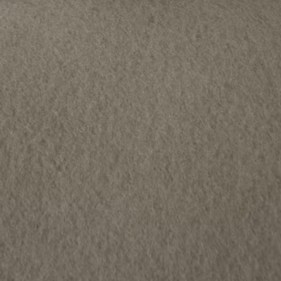 Moquette – Stand Event – Taupe – 2 m x 10 ml