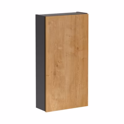 Colonne de rangement TAMO  1 porte  Coloris gris anthracite  L40 x P16 x H75 cm  Meuble suspendu