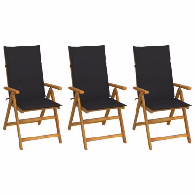 vidaXL Lot de 3 Chaises Pliables de Jardin avec Coussins, Sièges de Terrasse, Chaises de Salle à Manger, Meubles de Patio 3064096