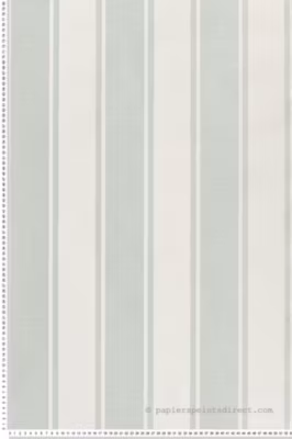 Papier peint vinyle sur intissé Classique L.10.05 x l.0.53 m.  – Réf. MC-23675