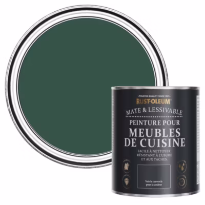 Peinture Verte pour Meubles de Cuisine, Mat – RUST-OLEUM – Pinède 750ml