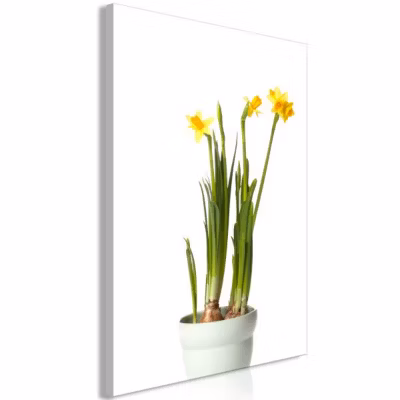 Tableau Fleurs Narcissus (1 Part) Vertical 40×60 cm