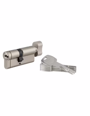 Cylindre de serrure à bouton débrayable Transit 1, 40Bx30mm, 5 clés, nickelé – THIRARD