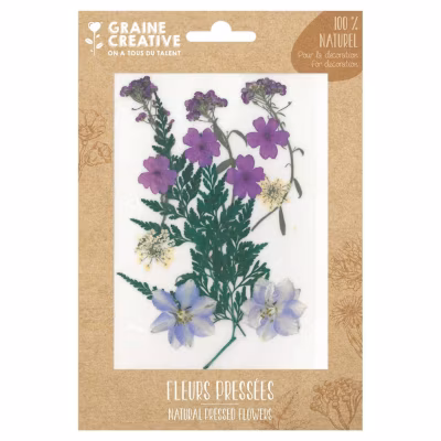 13 fleurs pressées – prairie violette