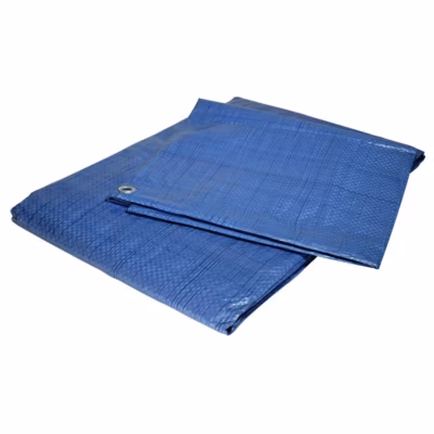 Bâche de jardin 8 x 12 m Bleue et verte Polyéthylène 80g/m²