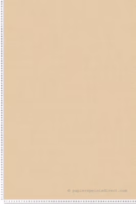 Papier peint vinyle sur intissé Uni L.10.05 x l.0.53 m.  – Réf. AS-353160